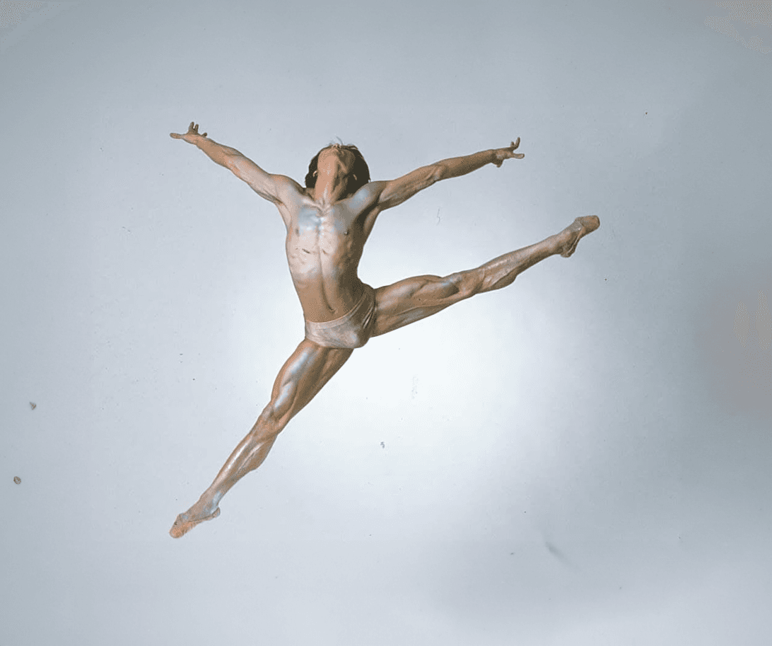 Portrait of Li Cunxin AO